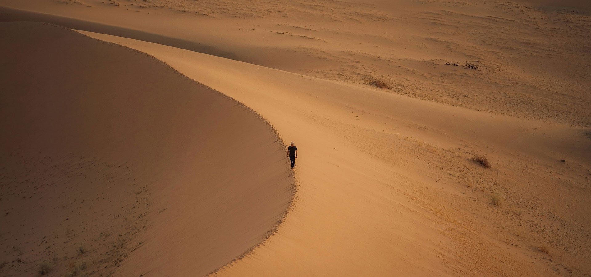 Contact Tailored by Locals