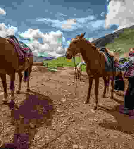 10-Day Peru Family Adventure: Rainforest & Cusco with ATV Riding, Zip Lining, Horseback Riding and Chocolate Workshop