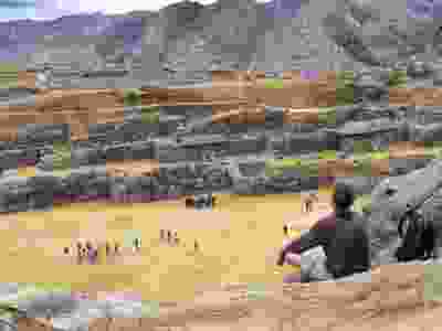 9-Day Peru Tailored Trip: Lima, Cusco & Andean Community with Cooking Class