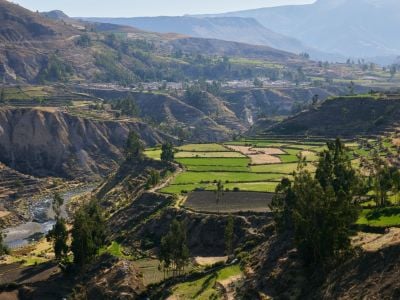 11-Day Peru Grand Journey: Lima, Arequipa, Colca Canyon, Lake Titicaca & Cusco