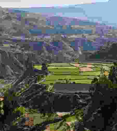 11-Day Peru Grand Journey: Lima, Arequipa, Colca Canyon, Lake Titicaca & Cusco