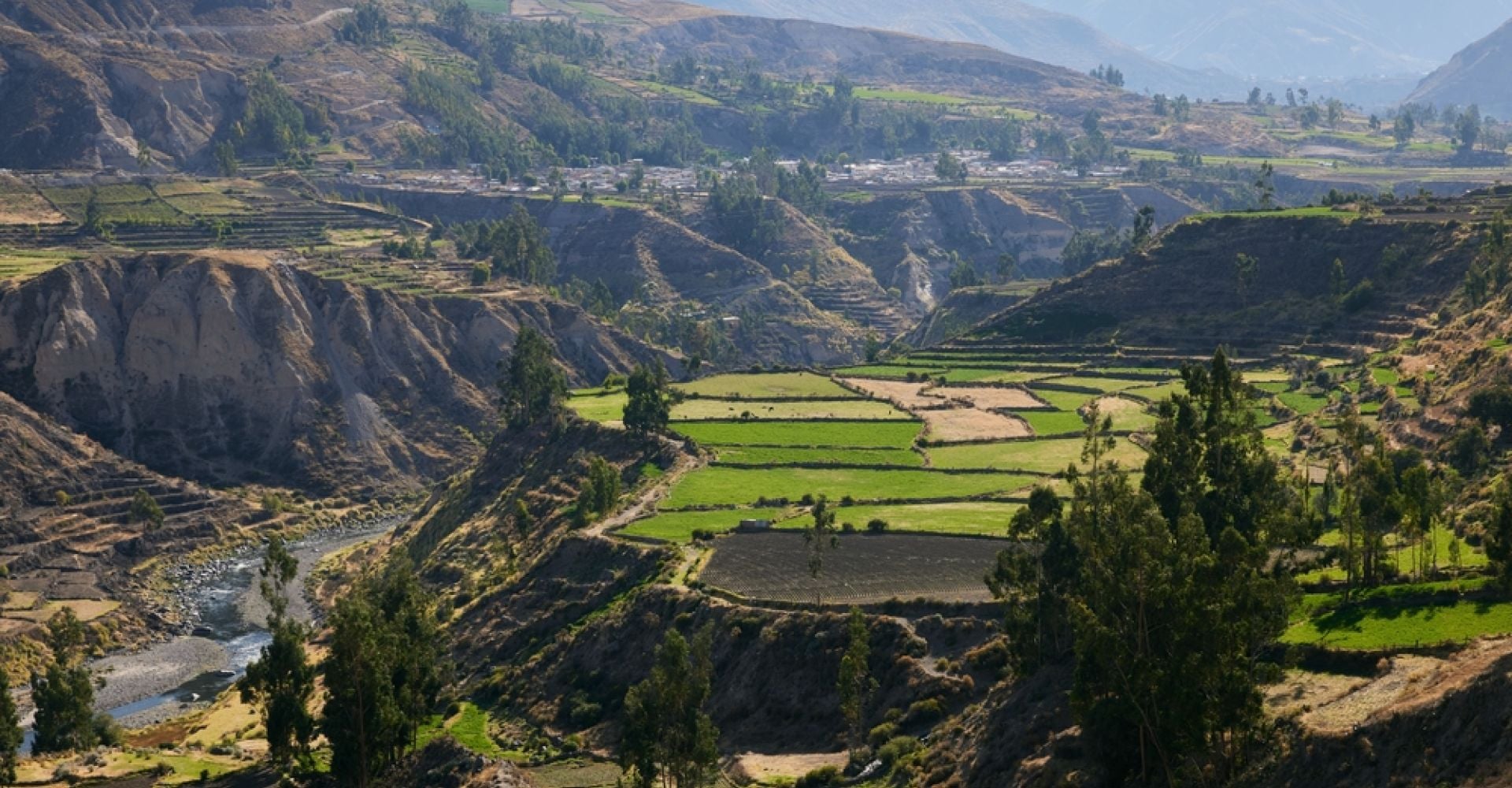 11-Day Peru Grand Journey: Lima, Arequipa, Colca Canyon, Lake Titicaca & Cusco
