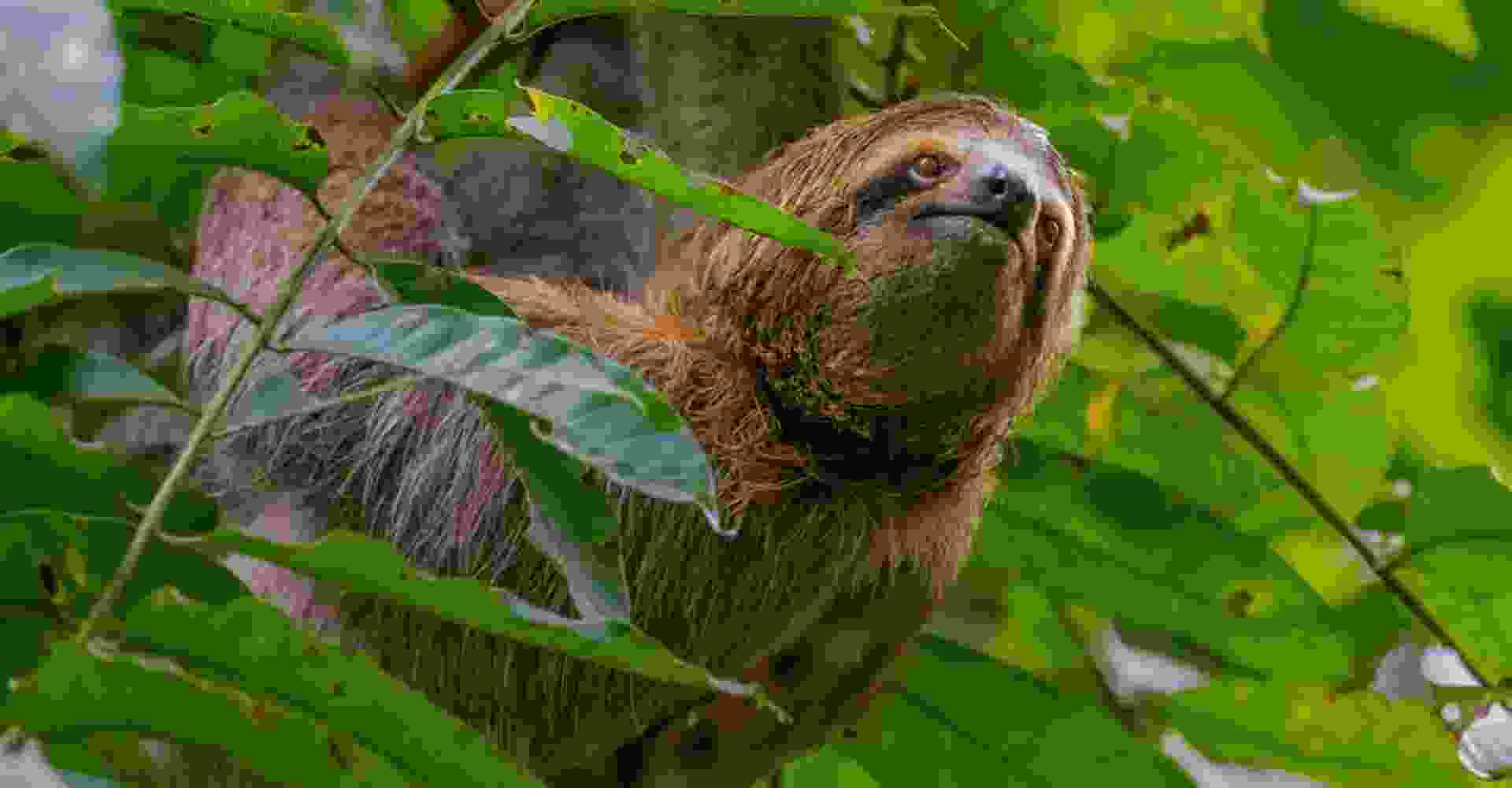 Costa Rica