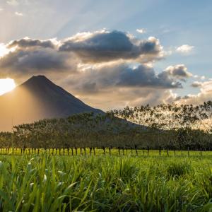 Arenal