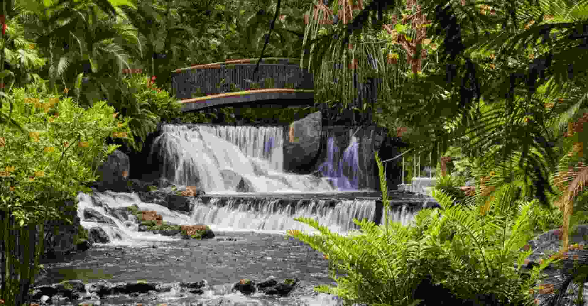 Arenal