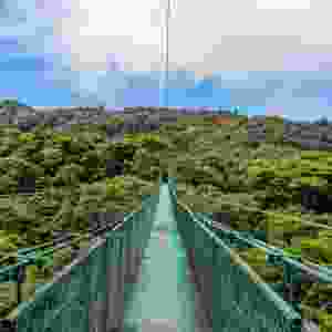 Monteverde, Costa Rica