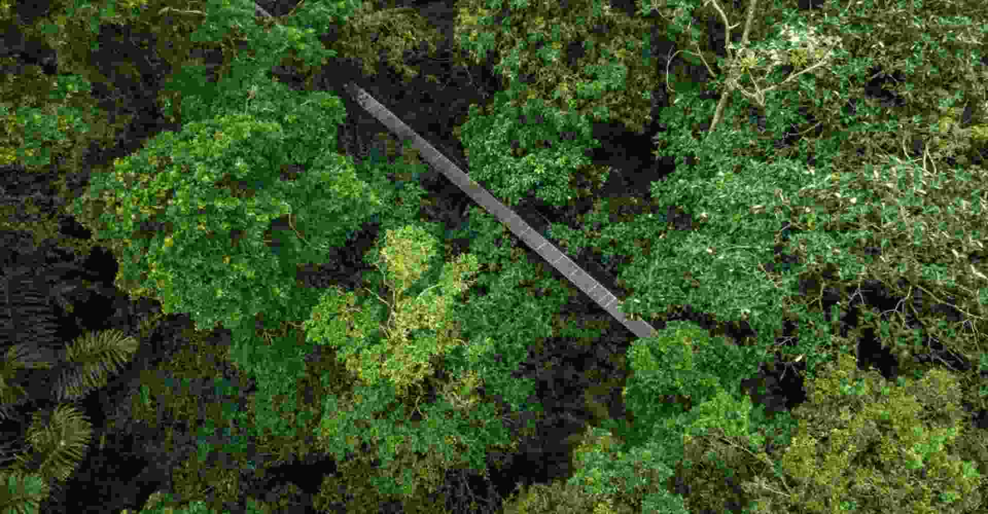 Monteverde