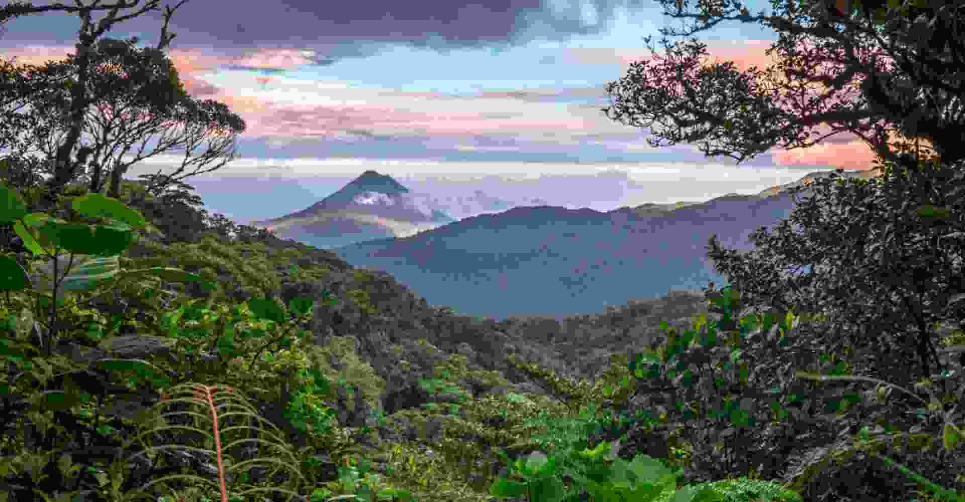 Monteverde