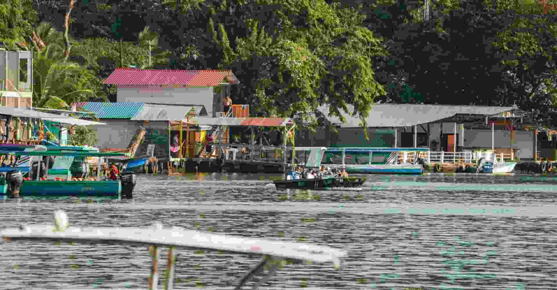 Tortuguero