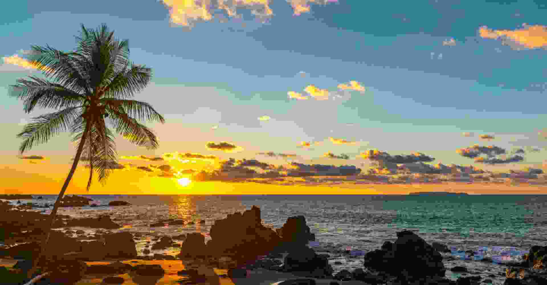 Corcovado National Park