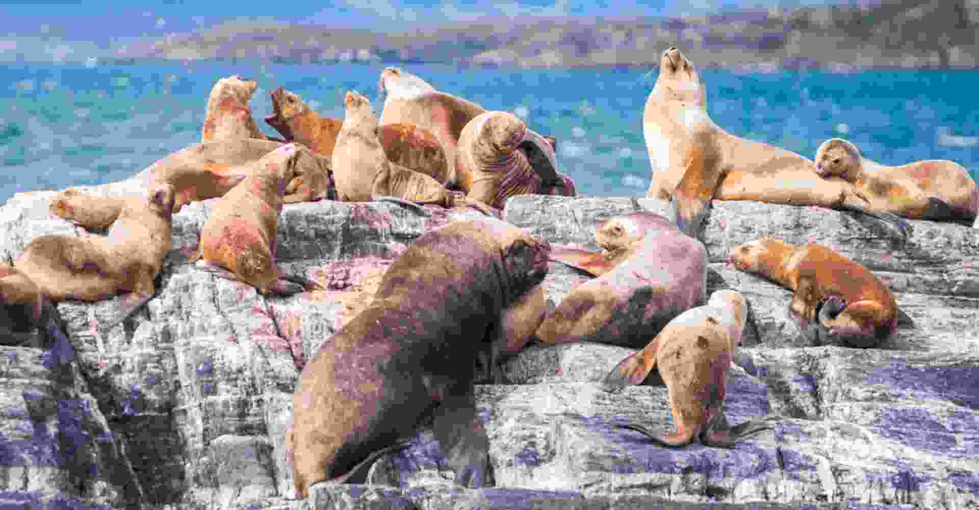Ushuaia