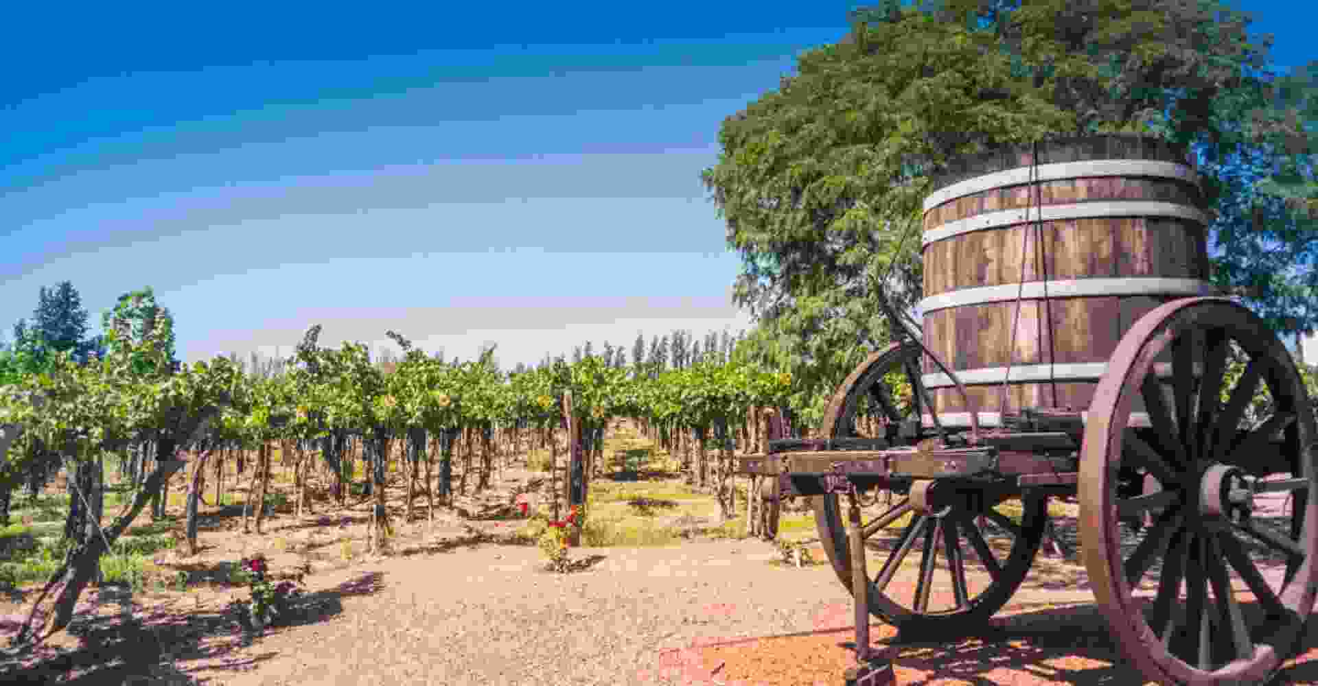 Mendoza