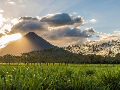 15-Day Nature Lover’s Escape: Costa Rica Adventure from Cloud Forests to Tropical Beaches