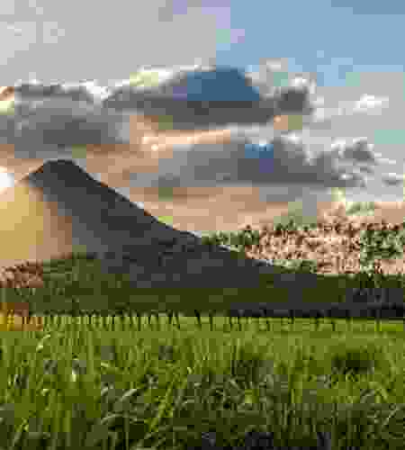 15-Day Nature Lover’s Escape: Costa Rica Adventure from Cloud Forests to Tropical Beaches