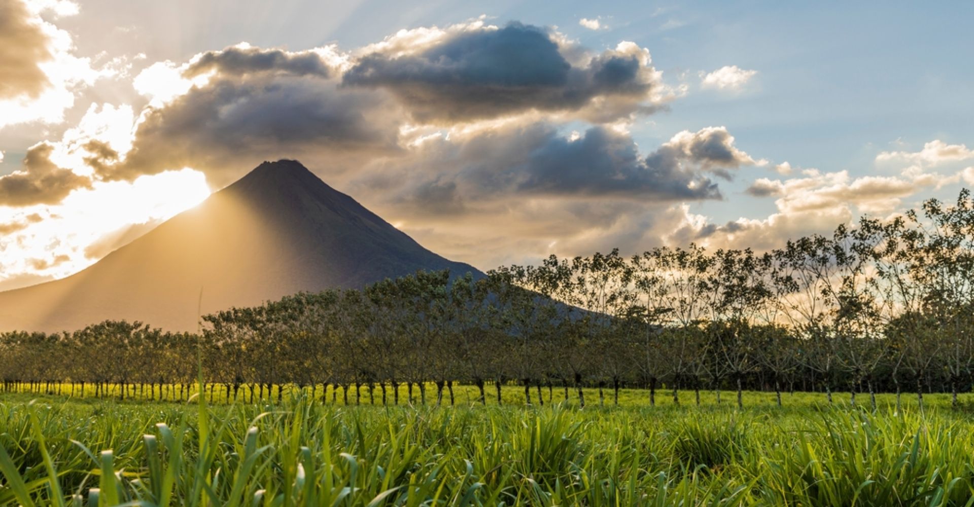 15-Day Nature Lover’s Escape: Costa Rica Adventure from Cloud Forests to Tropical Beaches