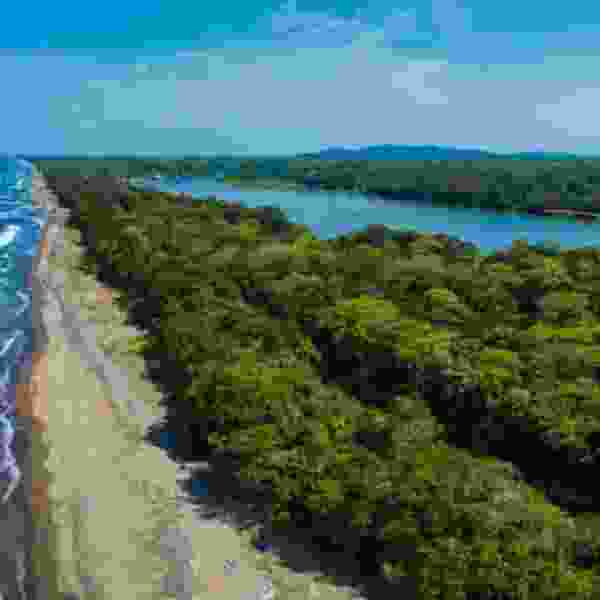 15-Day Nature Lover’s Escape: Costa Rica Adventure from Cloud Forests to Tropical Beaches