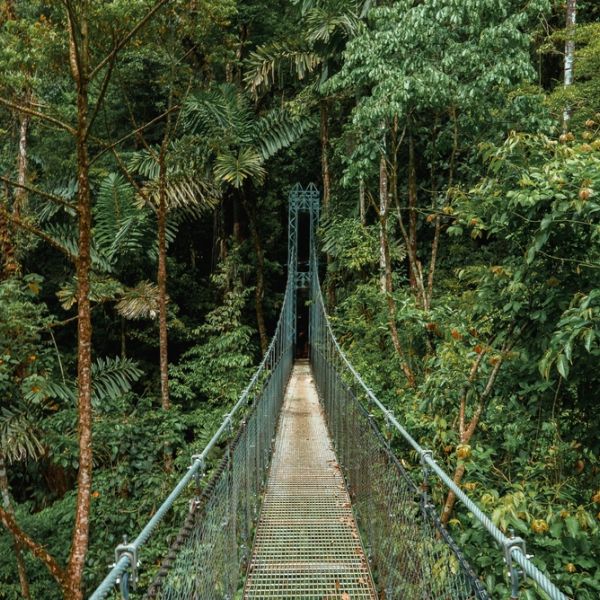 15-Day Nature Lover’s Escape: Costa Rica Adventure from Cloud Forests to Tropical Beaches