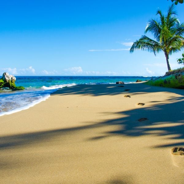 9-Day Ultimate Costa Rica Escape: Guanacaste & Nicoya Peninsula Adventure