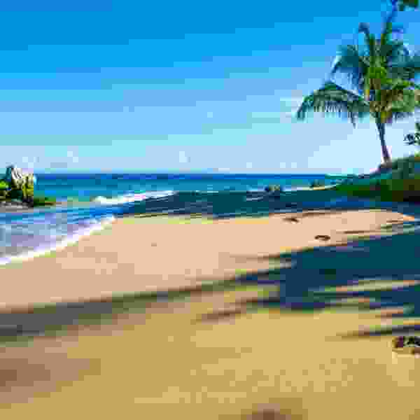 9-Day Ultimate Costa Rica Escape: Guanacaste & Nicoya Peninsula Adventure