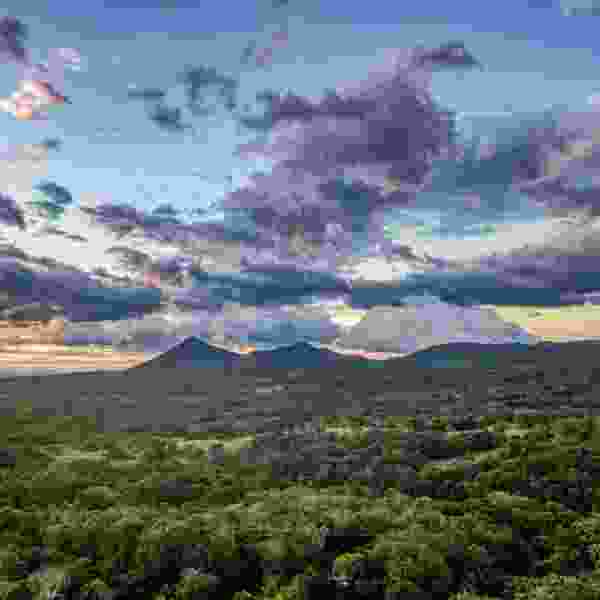 9-Day Ultimate Costa Rica Escape: Guanacaste & Nicoya Peninsula Adventure