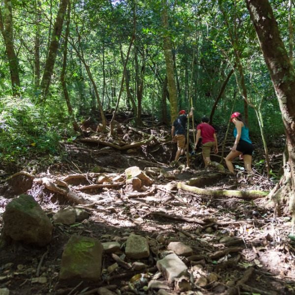 9-Day Ultimate Costa Rica Escape: Guanacaste & Nicoya Peninsula Adventure
