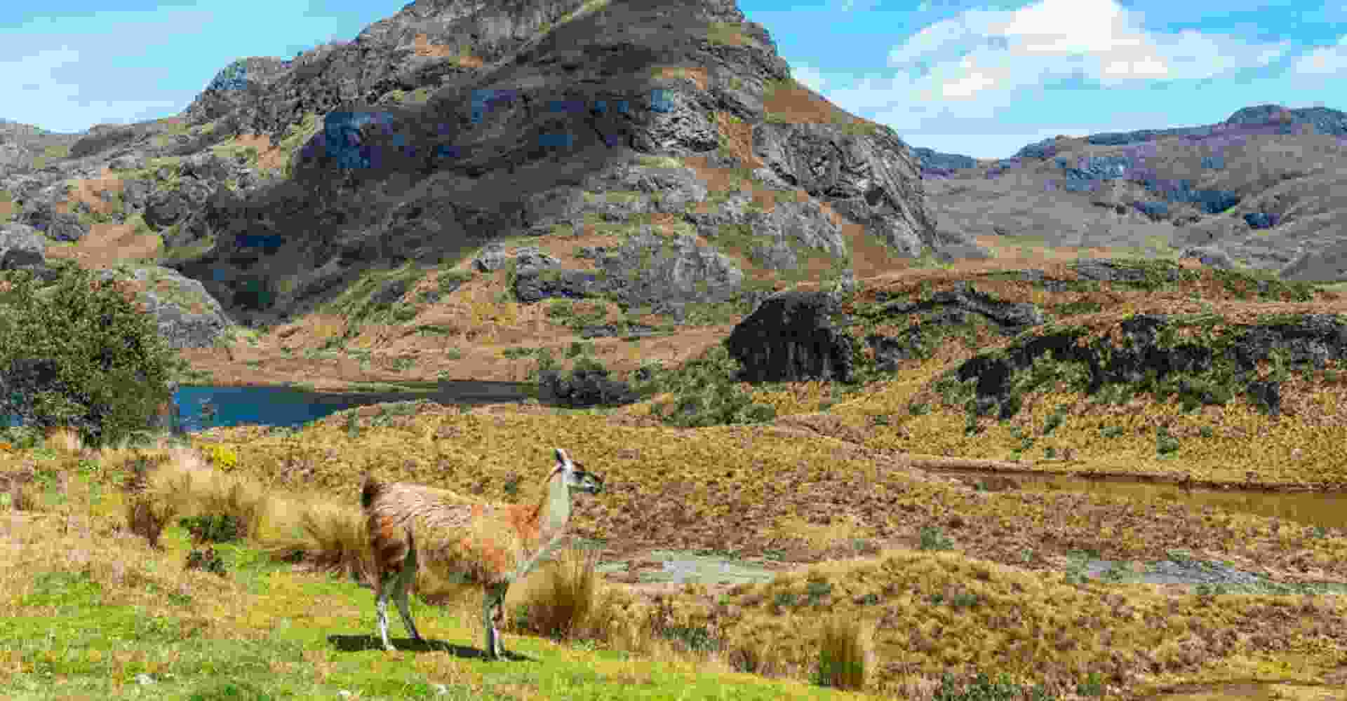 Cuenca