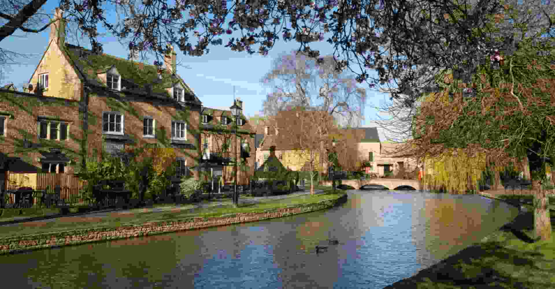 Cotswolds