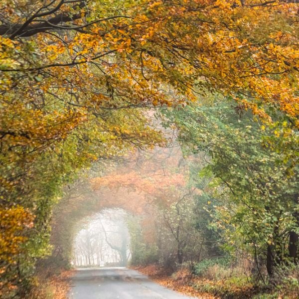 8-Day Cotswolds Nature & Adventure Escape