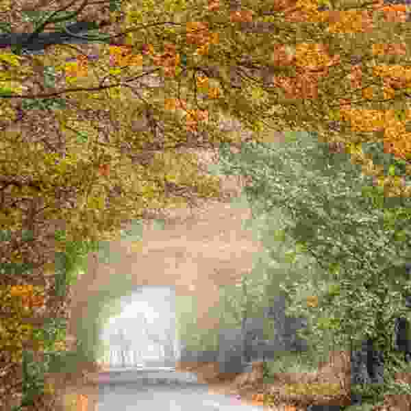 8-Day Cotswolds Nature & Adventure Escape