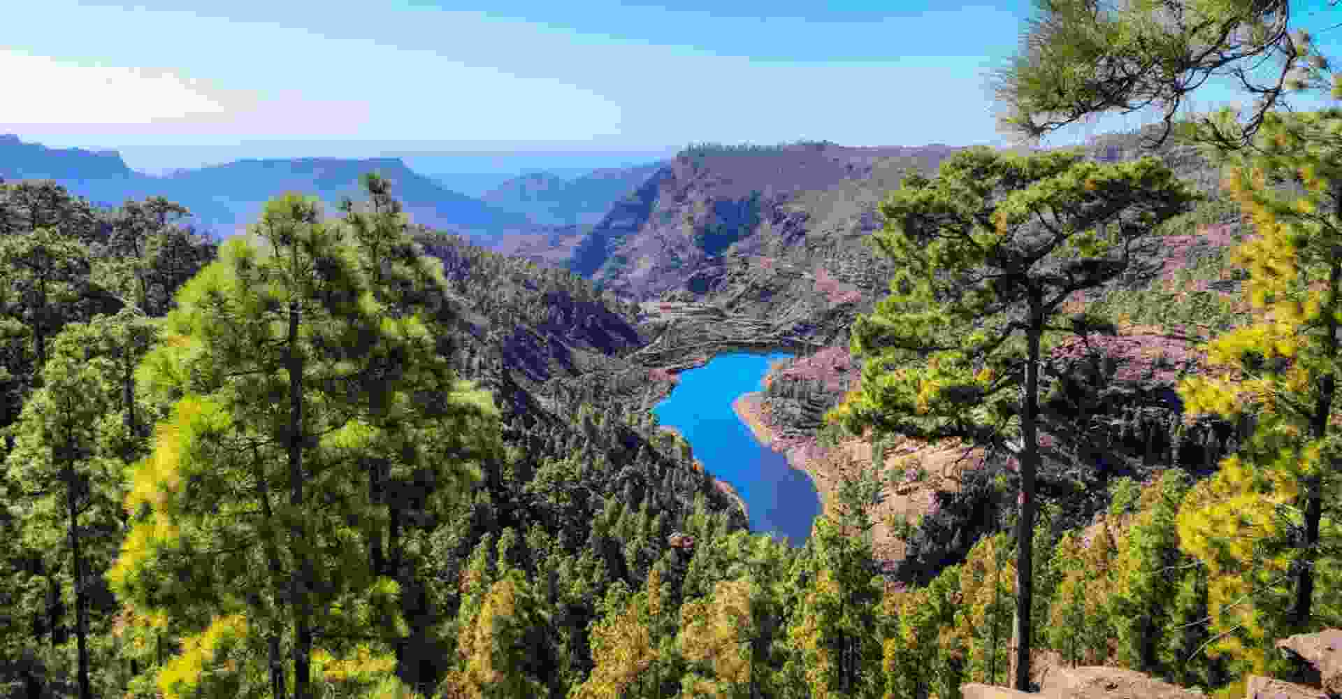 Canary Islands