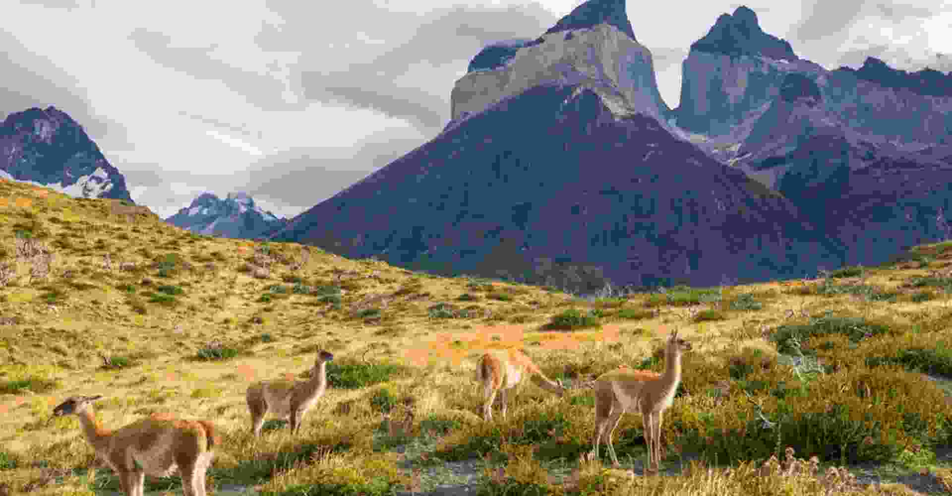 chile