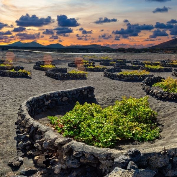 Lanzarote Self-Drive Discovery: 7 Days of Volcanoes, Beaches and Island Wonders