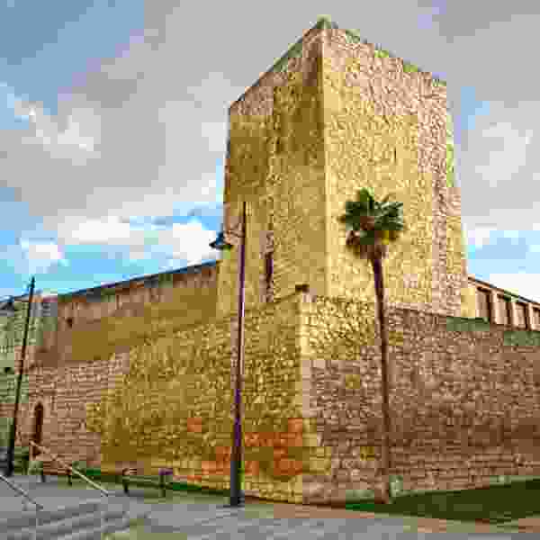 Private tours reveal the history, art and traditions of Jewish communities in this 10 Day trip