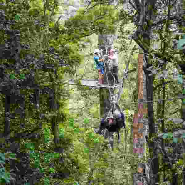 7-Day Costa Rica Family Experience with Nature, Wildlife & Endless Fun