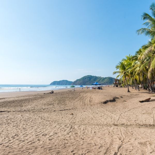 8-Day Costa Rica Caribbean Highlights – Senior Friendly Cultural Tour in the Nature