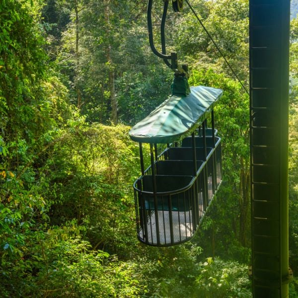 8-Day Costa Rica Caribbean Highlights – Senior Friendly Cultural Tour in the Nature