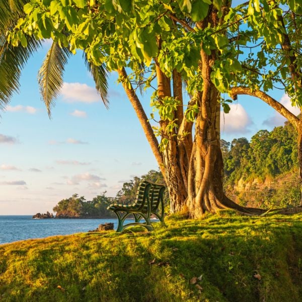 8-Day Costa Rica Caribbean Highlights – Senior Friendly Cultural Tour in the Nature