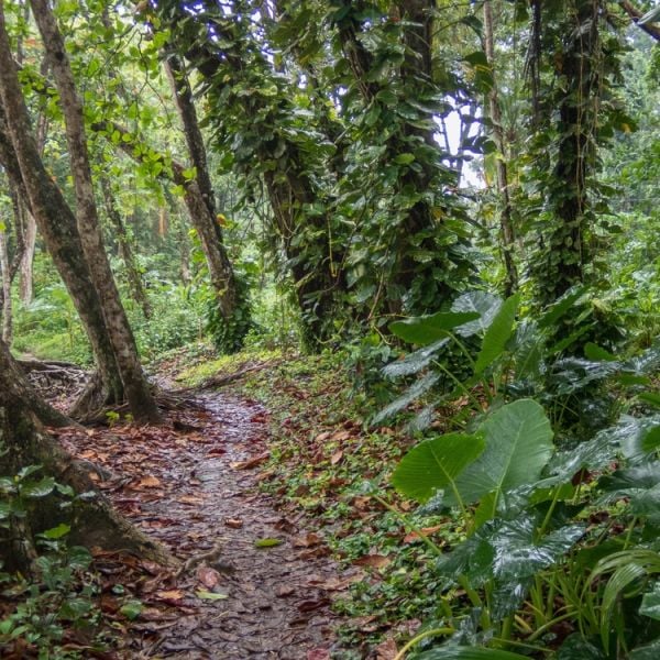 Costa Rica: History & Culture in One Unforgettable Family 10-day Journey
