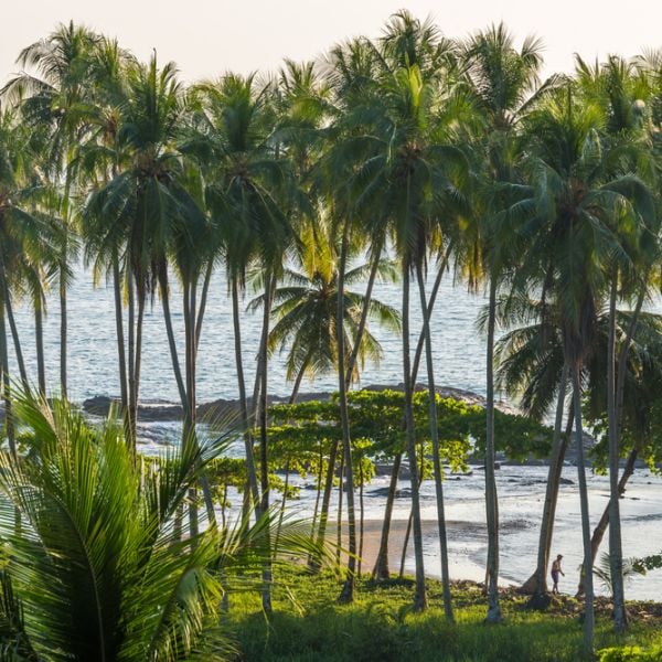 9-Day Costa Rica Adventure for Couples: Best of Guanacaste & Nicoya Peninsula