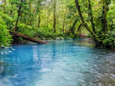 Costa Rica: A 14-Day Nature, Wildlife & Cultural Discovery