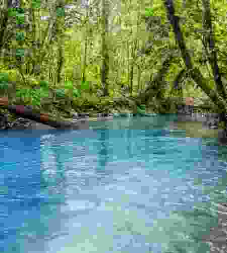 Costa Rica: A 14-Day Nature, Wildlife & Cultural Discovery