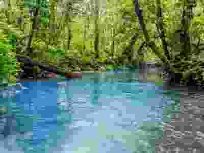 Costa Rica: A 14-Day Nature, Wildlife & Cultural Discovery