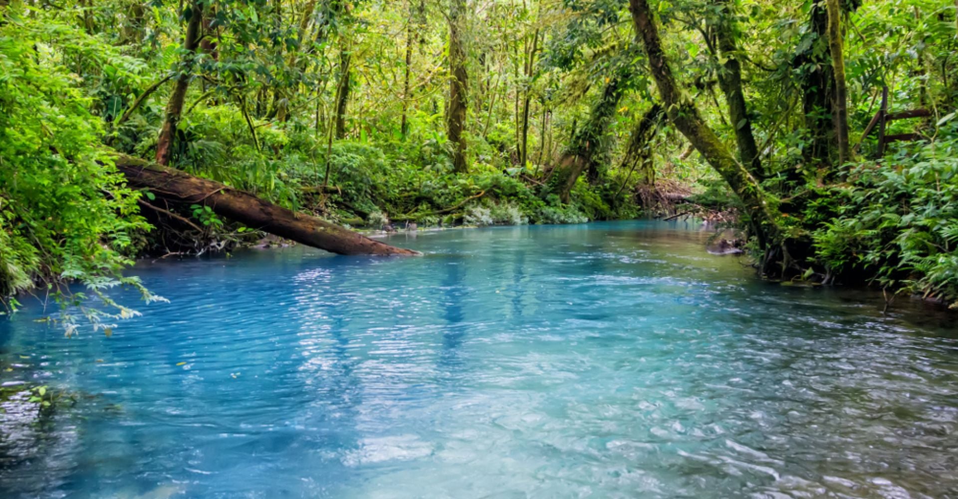 Costa Rica: A 14-Day Nature, Wildlife & Cultural Discovery