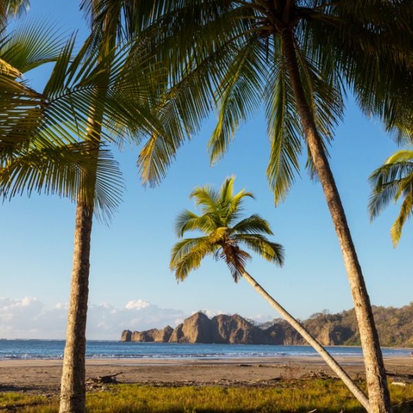 Costa Rica: A 14-Day Nature, Wildlife & Cultural Discovery