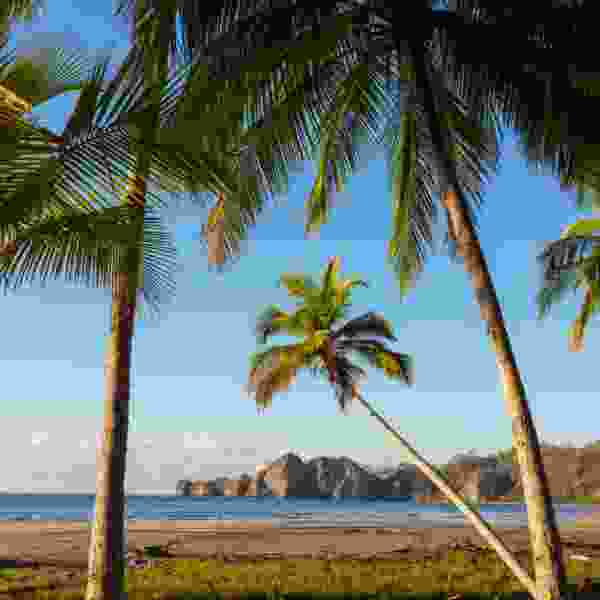 Costa Rica: A 14-Day Nature, Wildlife & Cultural Discovery
