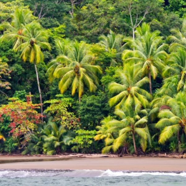 Costa Rica: A 14-Day Nature, Wildlife & Cultural Discovery