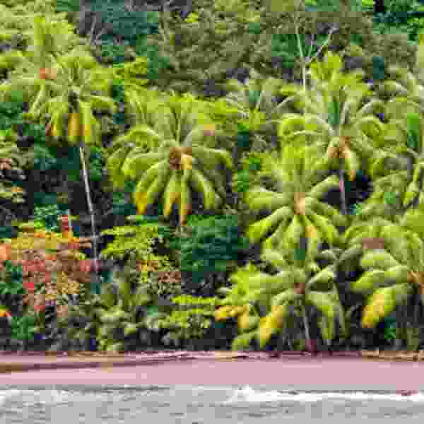Costa Rica: A 14-Day Nature, Wildlife & Cultural Discovery