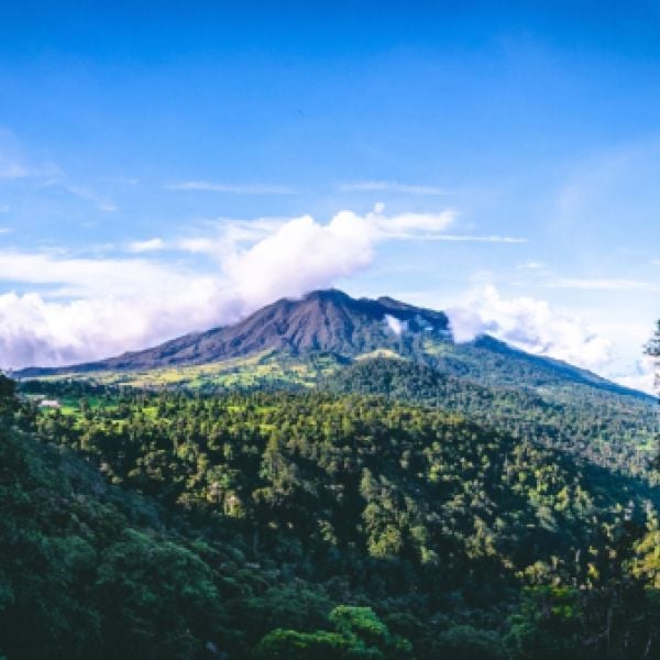 Costa Rica at Leisure: A Tailored 10-Day Senior Adventure full of Wildlife
