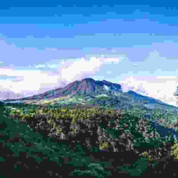 Costa Rica at Leisure: A Tailored 10-Day Senior Adventure full of Wildlife