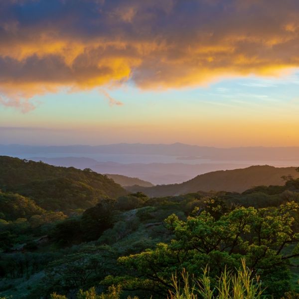 Costa Rica at Leisure: A Tailored 10-Day Senior Adventure full of Wildlife